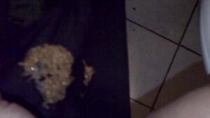 Free Scat Porn