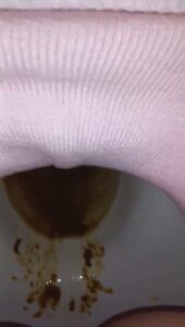 Free Scat Porn