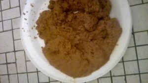 Free Scat Porn