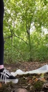 Free Scat Porn