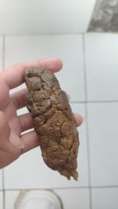 Free Scat Porn