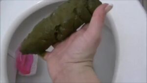 Free Scat Porn