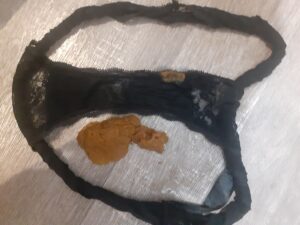 Free Scat Porn