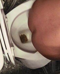 Free Scat Porn