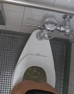 Free Scat Porn