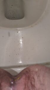 Free Scat Porn