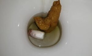 Free Scat Porn
