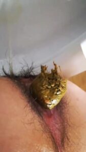 Free Scat Porn