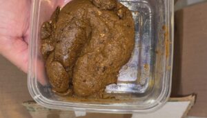 Free Scat Porn