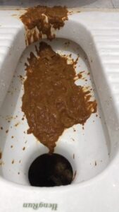 Free Scat Porn