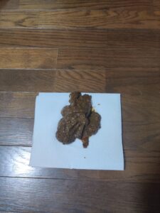 Free Scat Porn