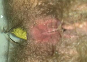 Free Scat Porn