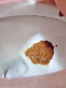 Free Scat Porn