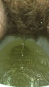 Free Scat Porn