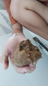 Free Scat Porn