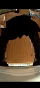 Free Scat Porn