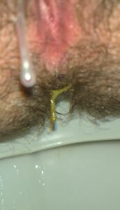 Free Scat Porn