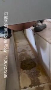 Free Scat Porn