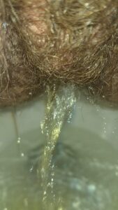 Free Scat Porn