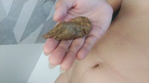 Free Scat Porn
