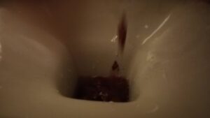 Free Scat Porn