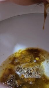 Free Scat Porn