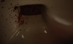 Free Scat Porn