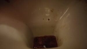 Free Scat Porn