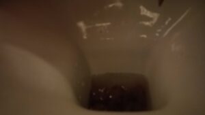Free Scat Porn