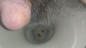 Free Scat Porn