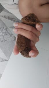 Free Scat Porn