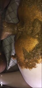 Free Scat Porn