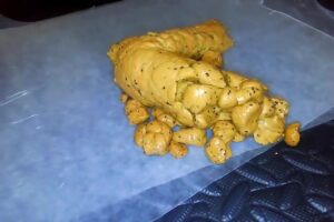 Free Scat Porn