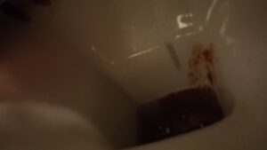 Free Scat Porn