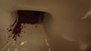 Free Scat Porn