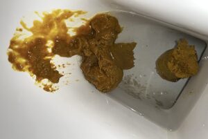 Free Scat Porn