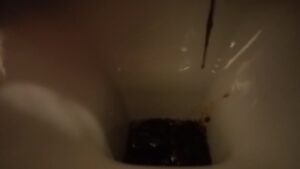 Free Scat Porn