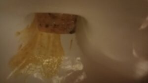 Free Scat Porn