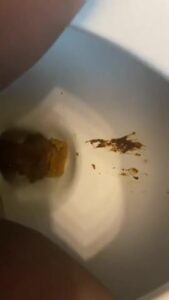 Free Scat Porn