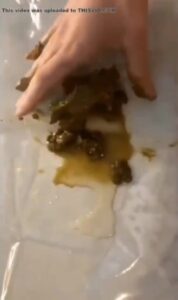 Free Scat Porn