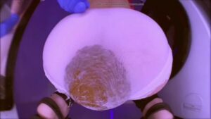 Free Scat Porn