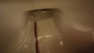 Free Scat Porn