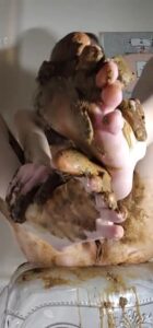Free Scat Porn