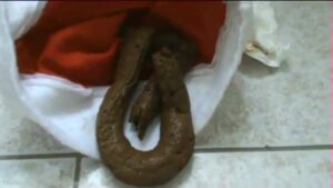 Free Scat Porn