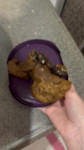 Free Scat Porn