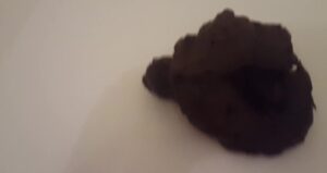 Free Scat Porn
