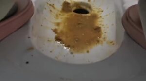 Free Scat Porn