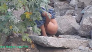 Free Scat Porn