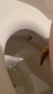 Free Scat Porn