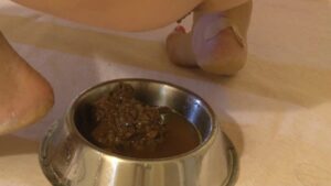 Free Scat Porn